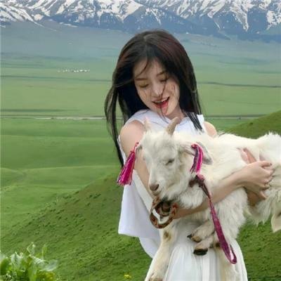 铁面无私